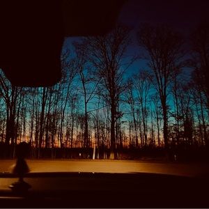 Meet your Posher, Bailey